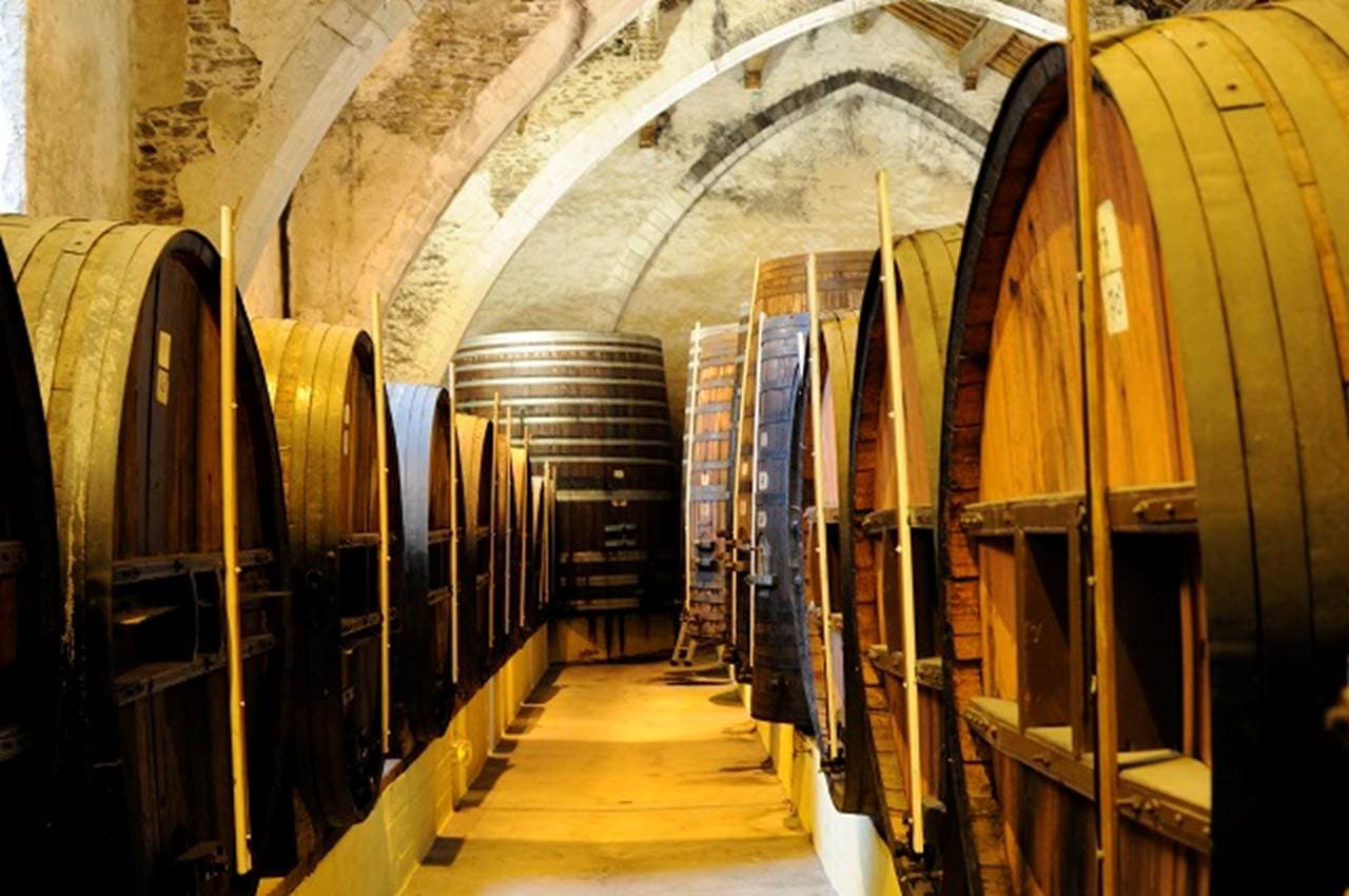cellier-des-dominicains