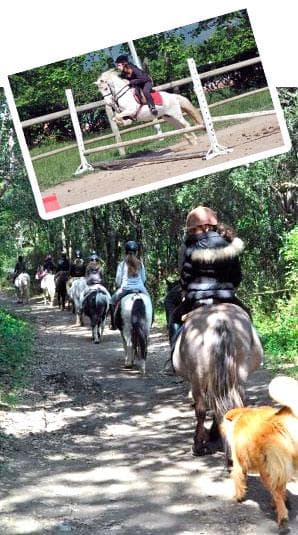 club-equestre-CASTEL-FIZEL-photos