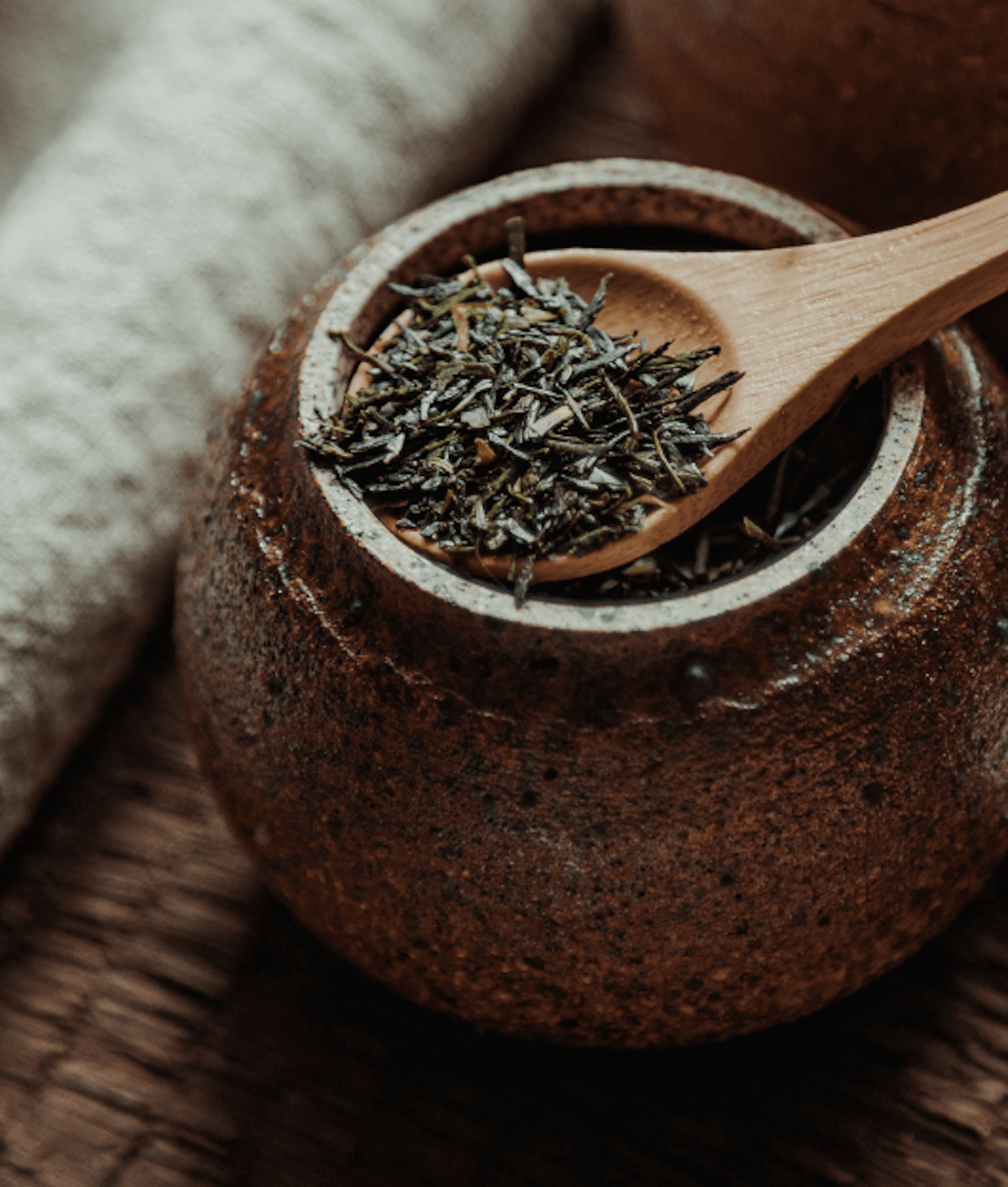 découverte saveur thé