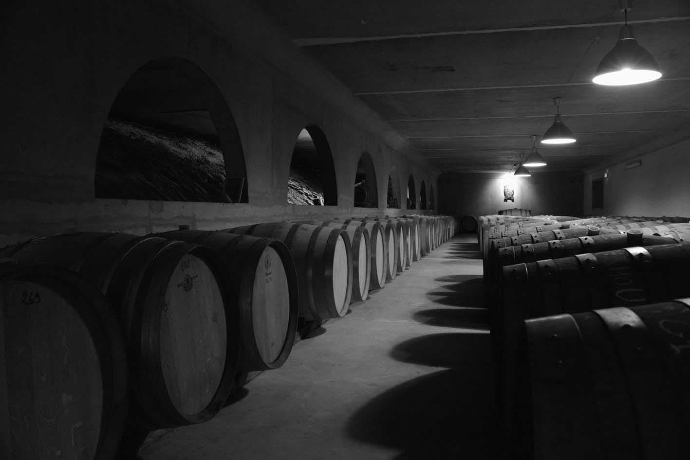domaine_boucabeille-corneilla_la_riviere (13)
