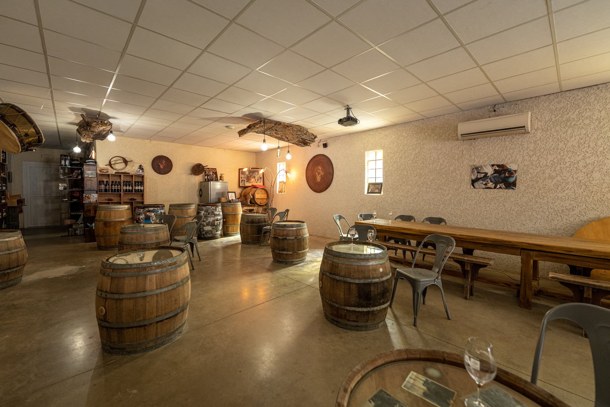 domaine-tambour-banyuls-2022-02750