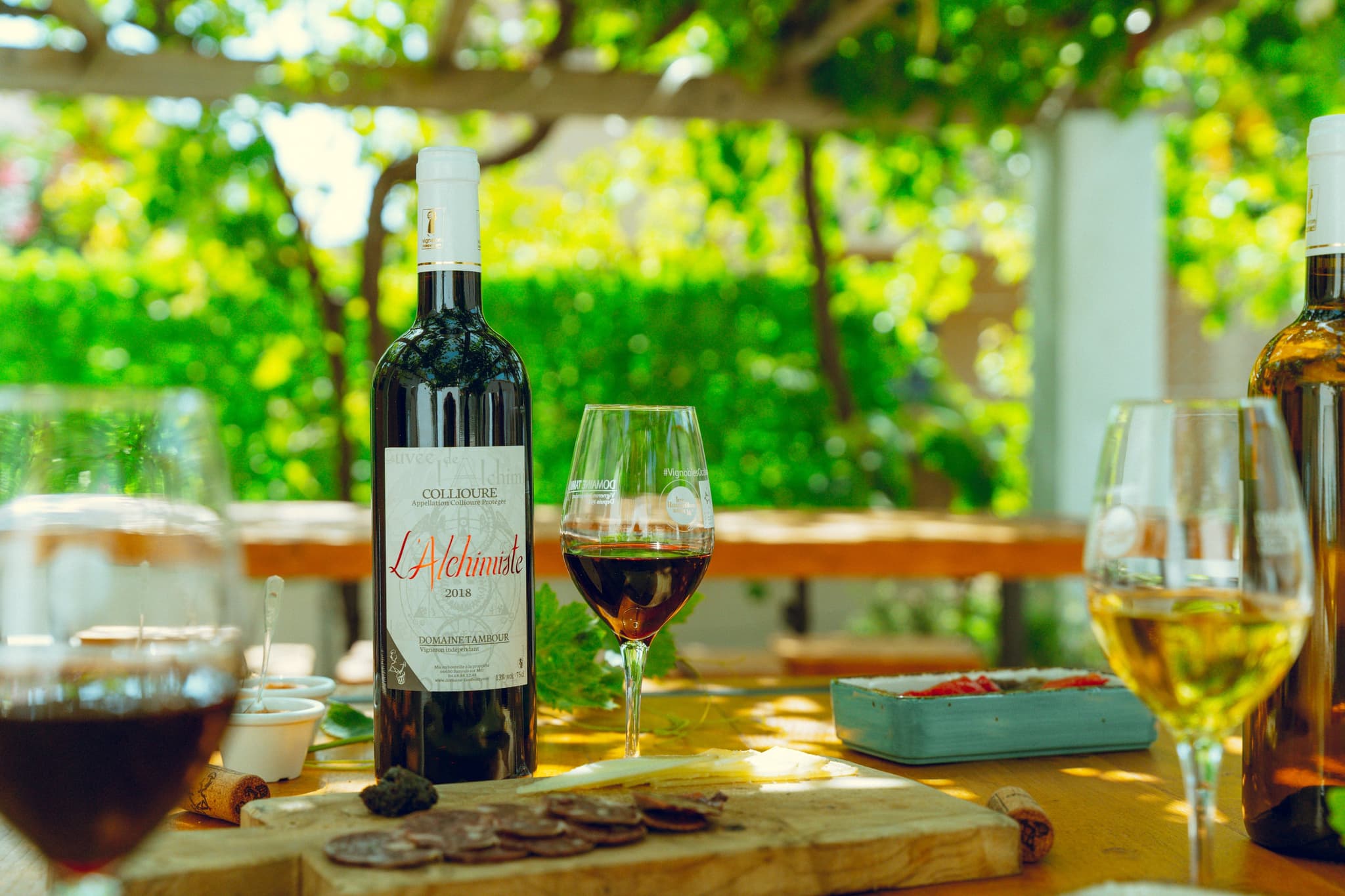 domaine-tambour-banyuls-2022-02763