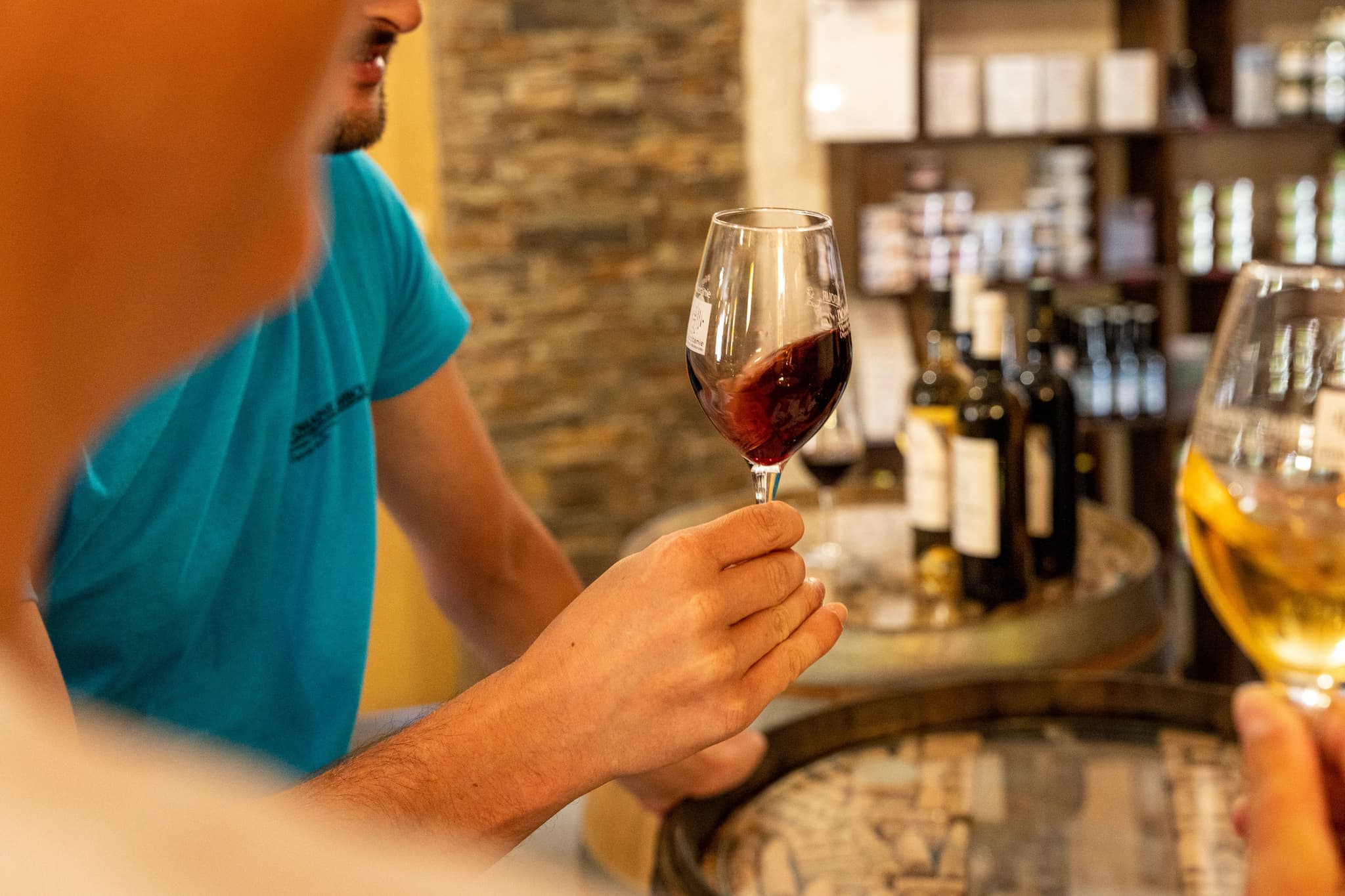 domaine-tambour-banyuls-2022-02796