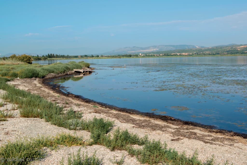 etang_de_salses 3
