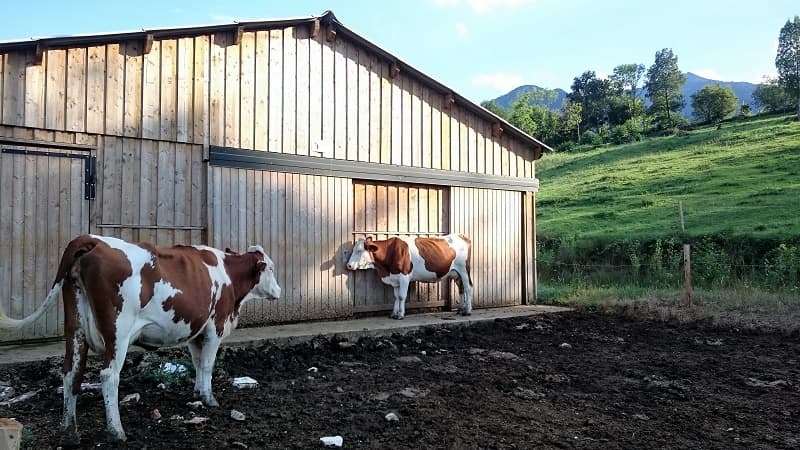 ferme du mas guiter1