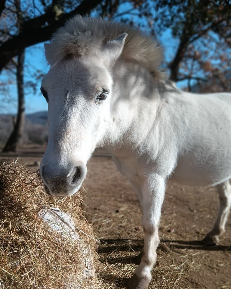 ferme estoher photo