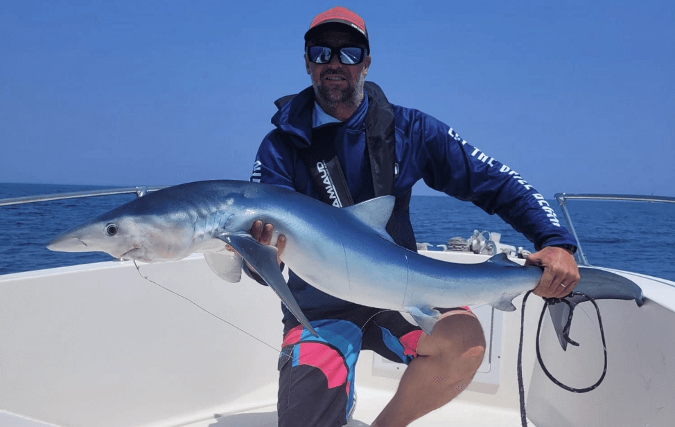 fishing66