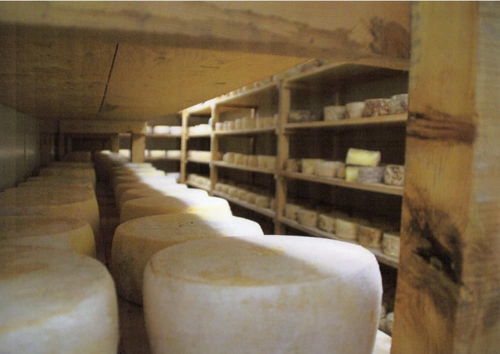 fromagerie cal gilet 2