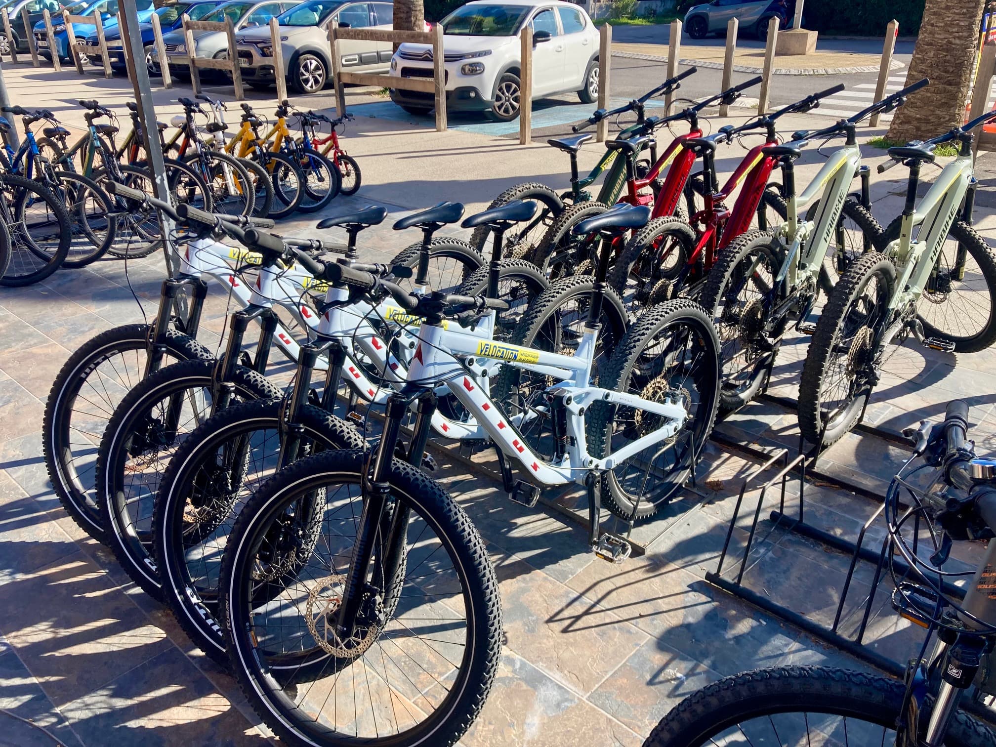 VELOCATION