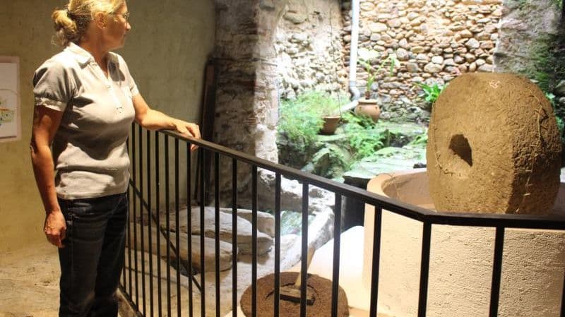 le-moulin-des-auxelles-rembarde-roue-bouleternere