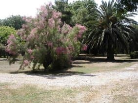STE MARIE CAMPING CHARDONNERETS