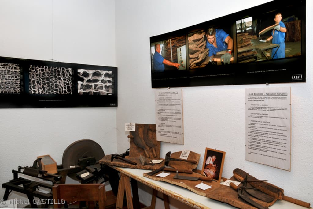 maureillas_musee_du_liege_1