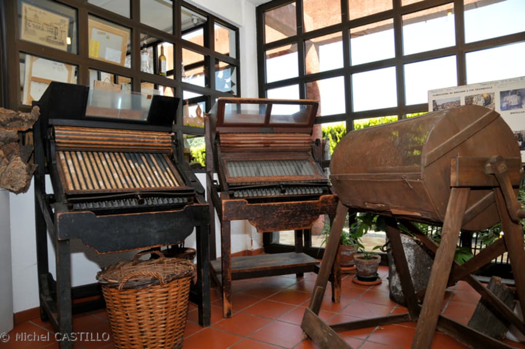 maureillas_musee_du_liege_3