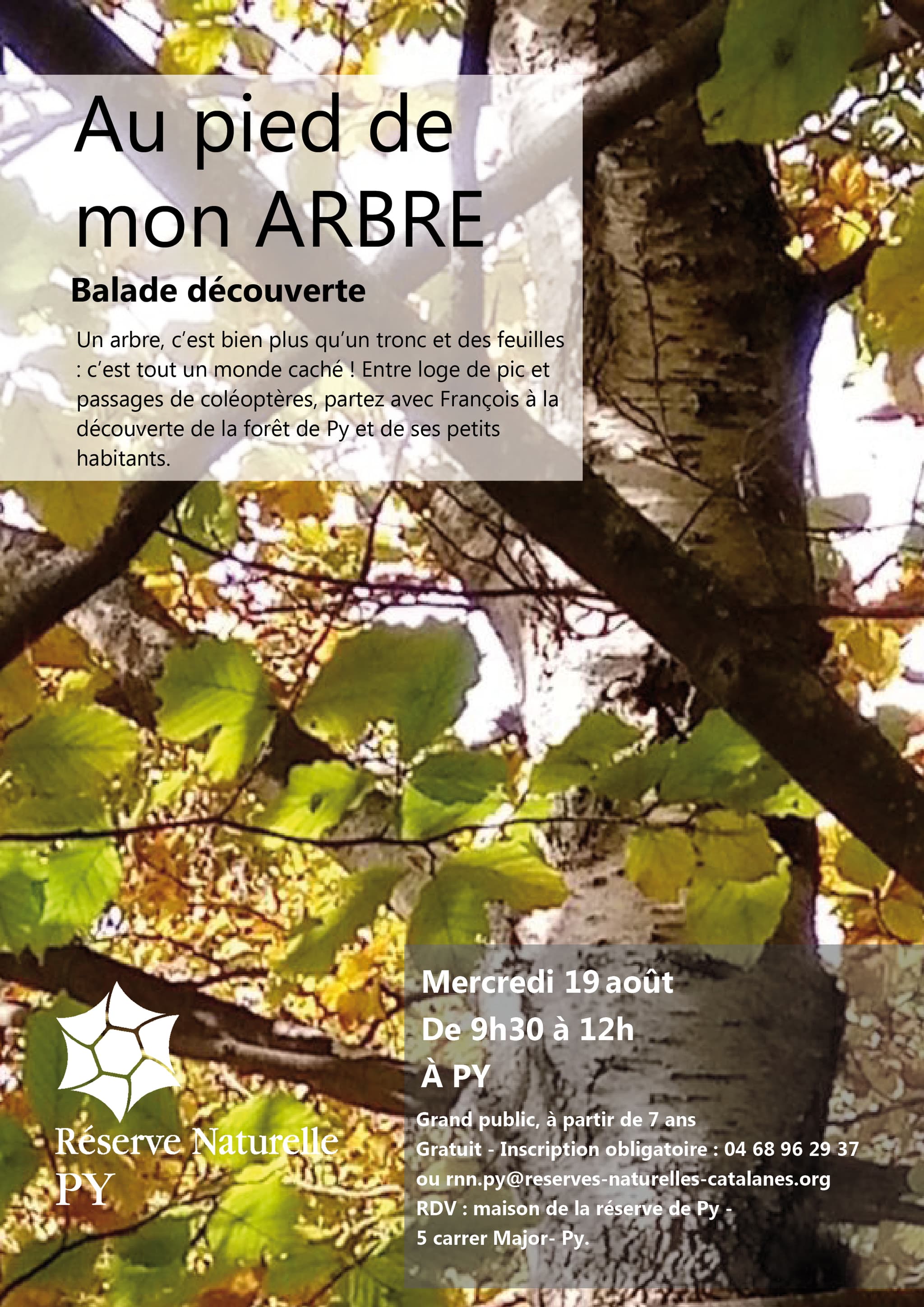 mon arbre