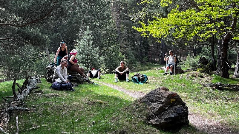 pause clairière