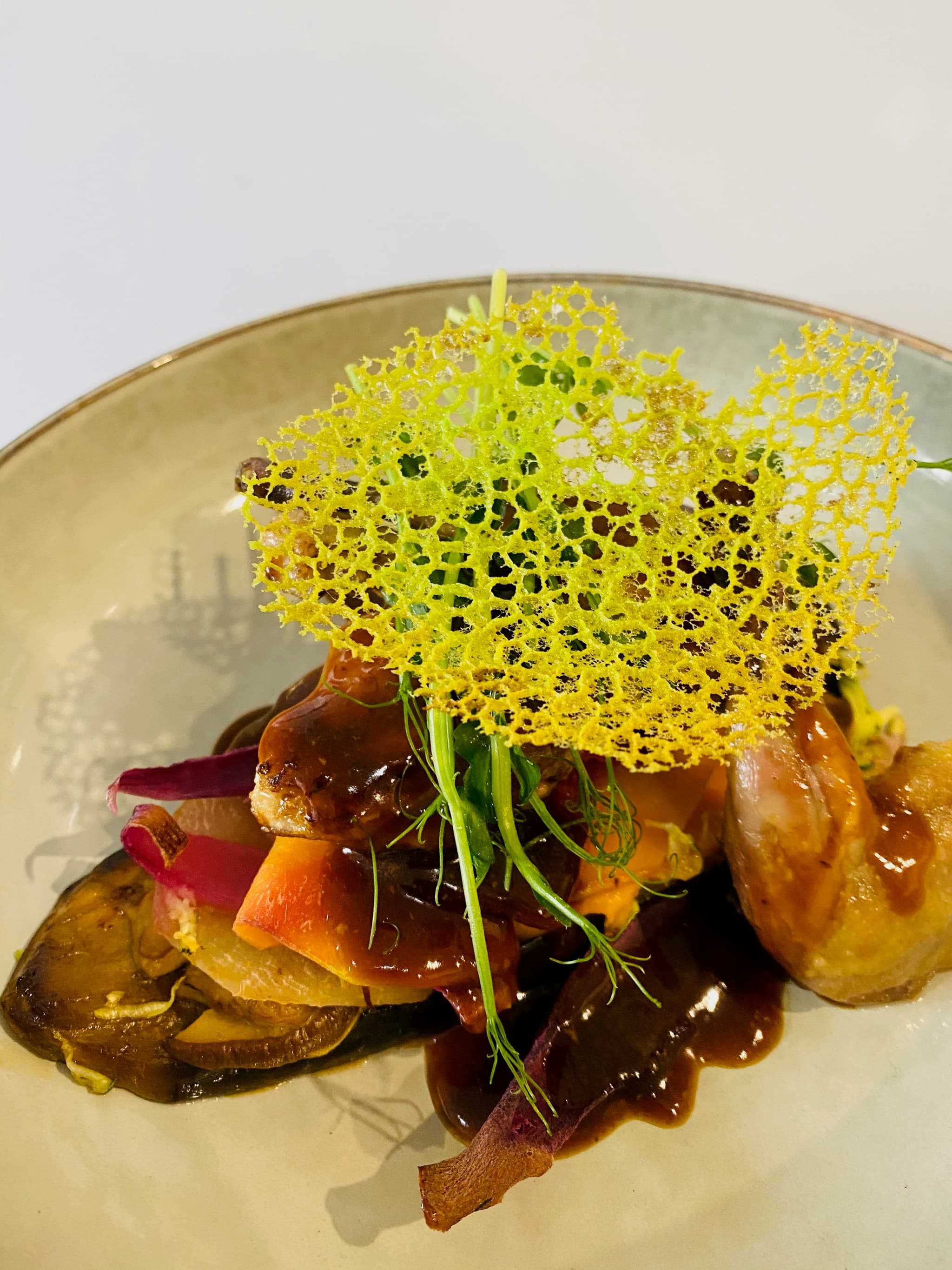 plat le sud