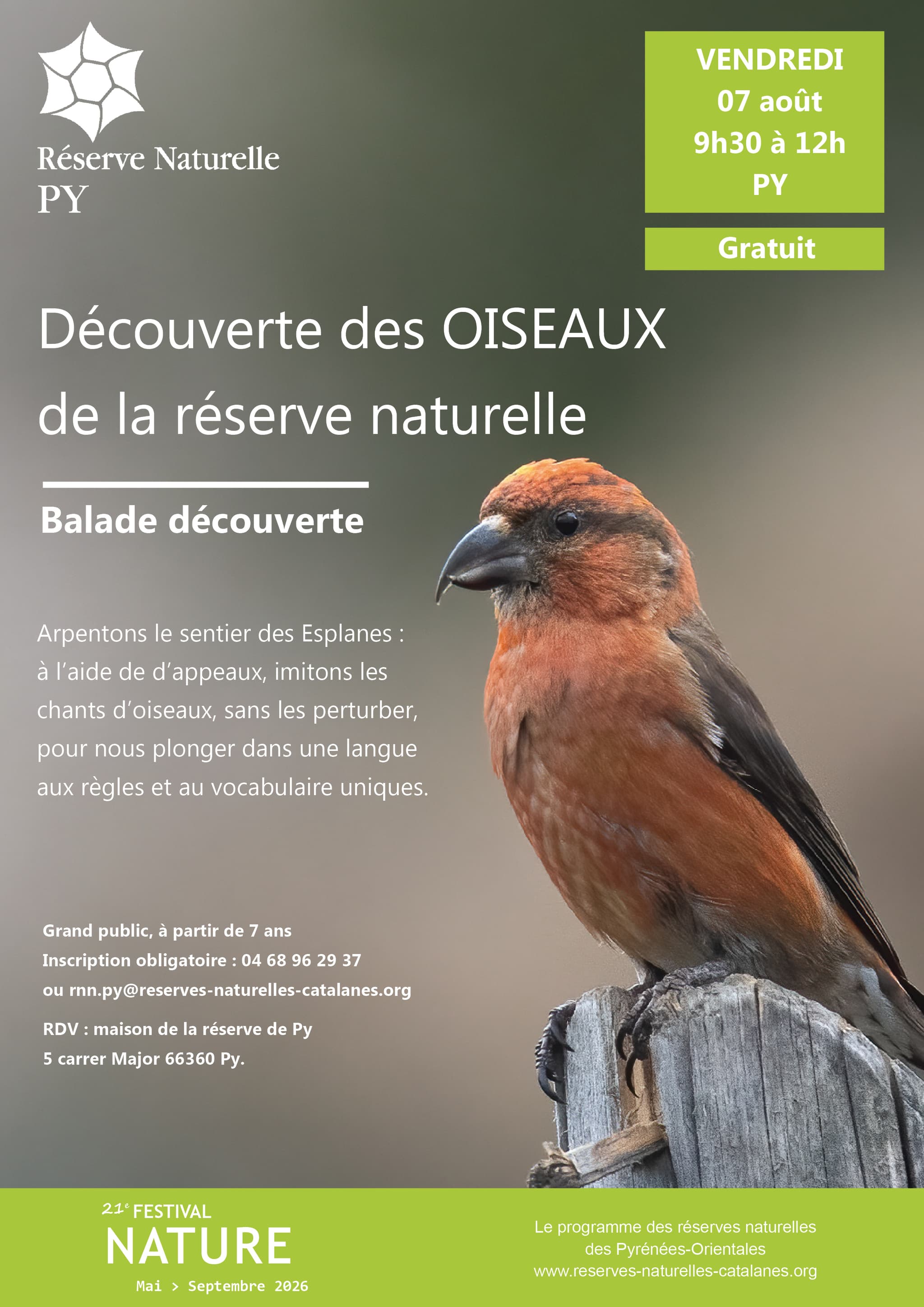 py-decouverte-oiseaux