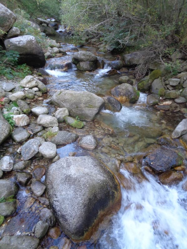 rivière rotjà