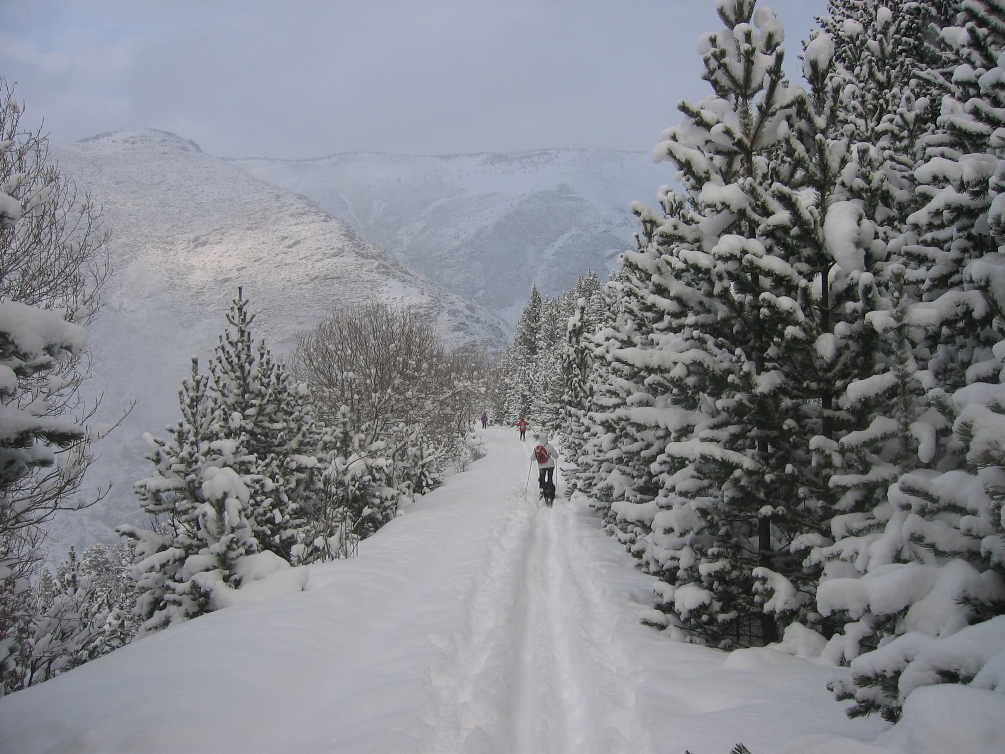 ski rando