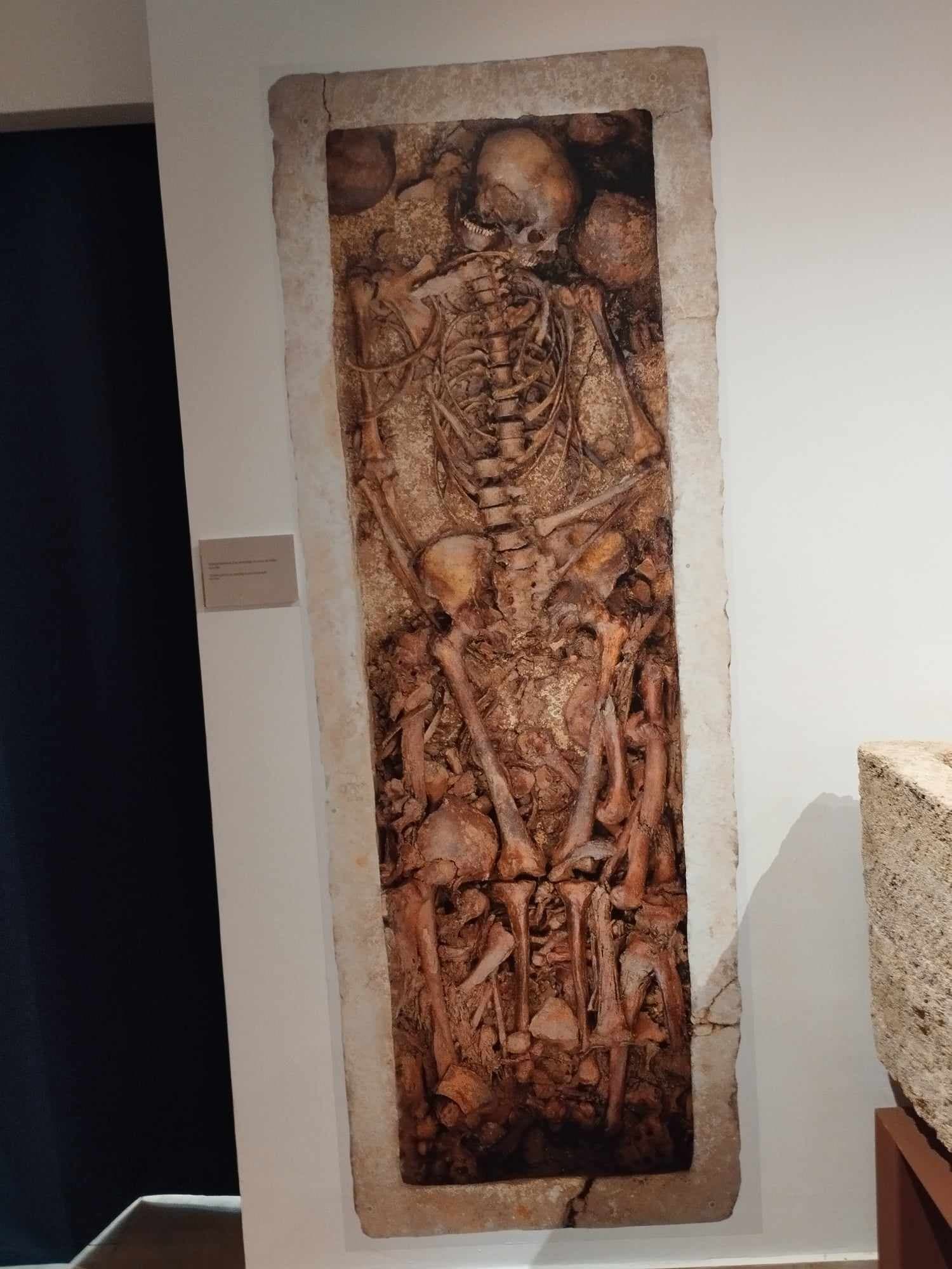 sarcophage 3