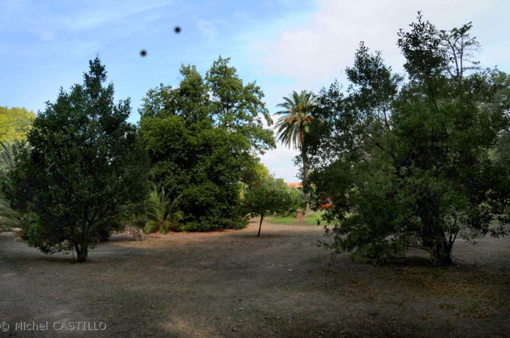 toulouges_parc_clairfont_2