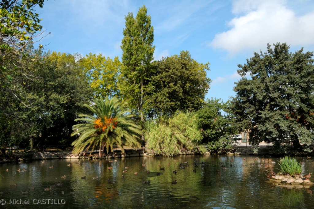 toulouges_parc_de_clairfont_5