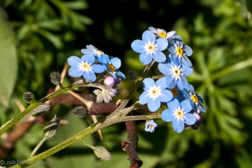 Réserve naturelle Eyne 3