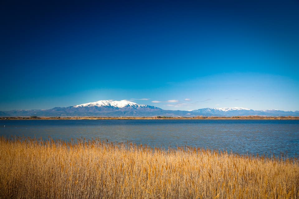 vegetationEtangCanigou