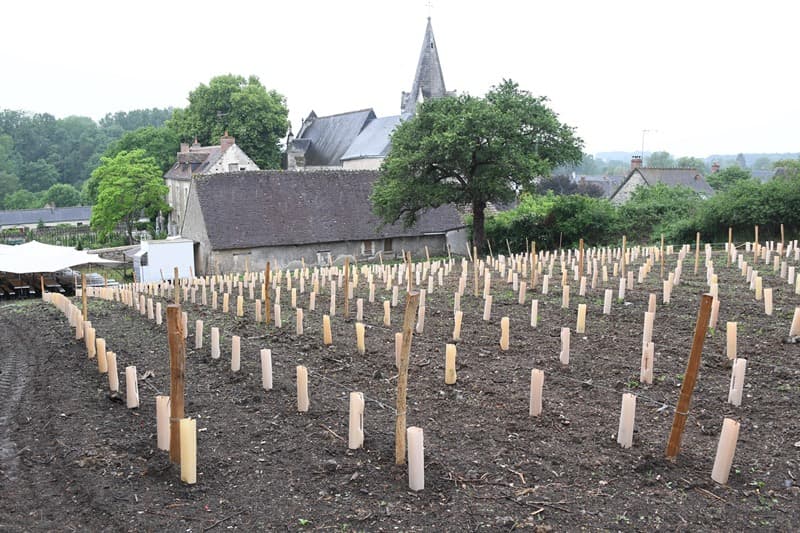 Jardin remarquable du village de Chédigny