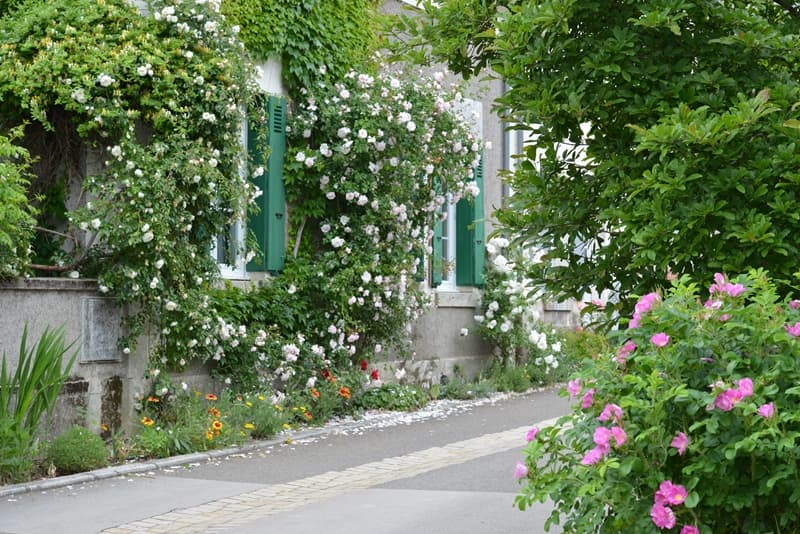 Jardin remarquable du village de Chédigny
