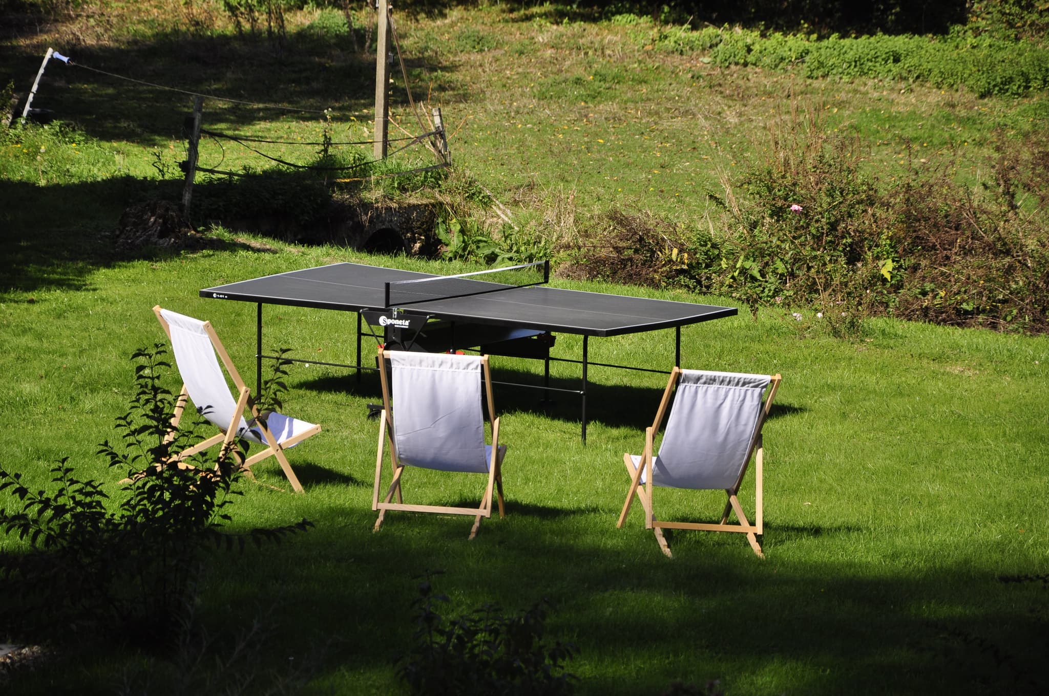 Table de ping-pong, jeux divers et chaises longues à disposition