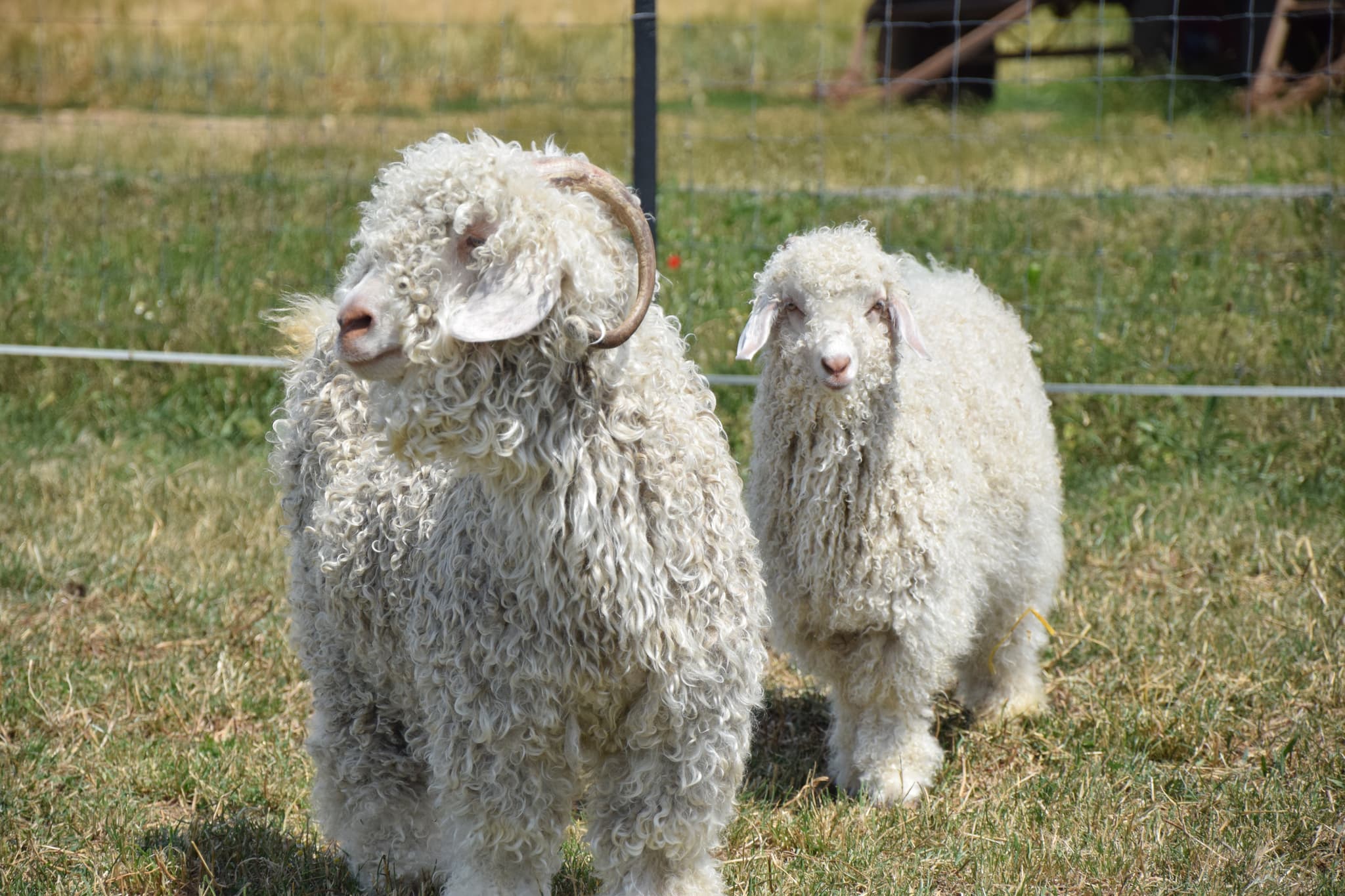 ferme feularde
