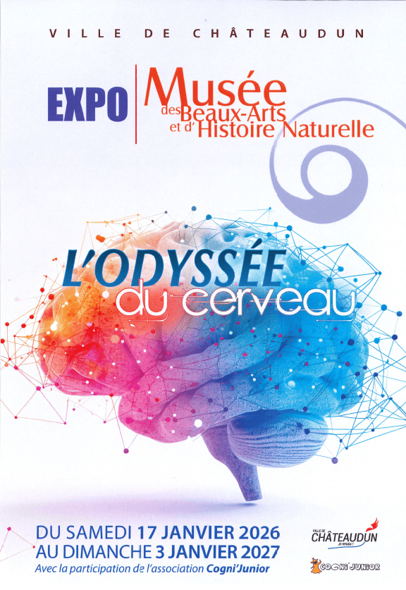 01 - odyssée du cerveau