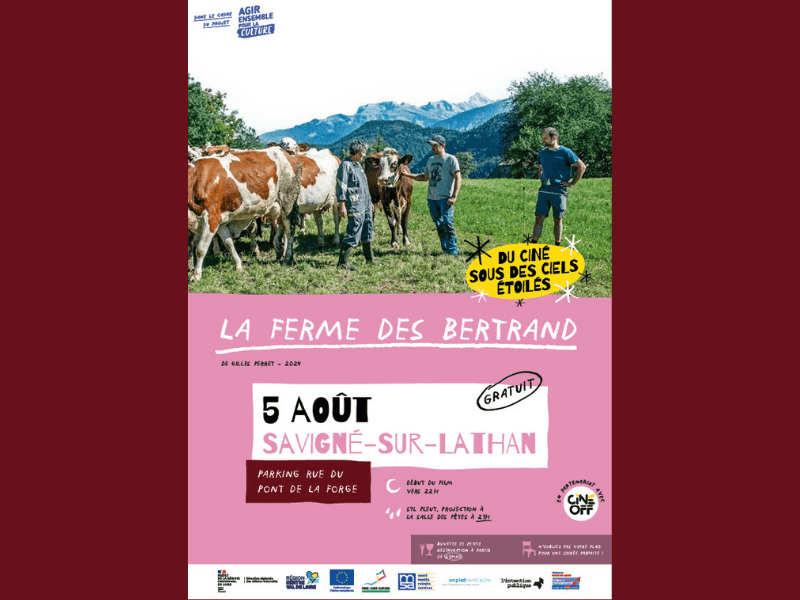 Ciné en plein air - Savigné-sur-Lathan