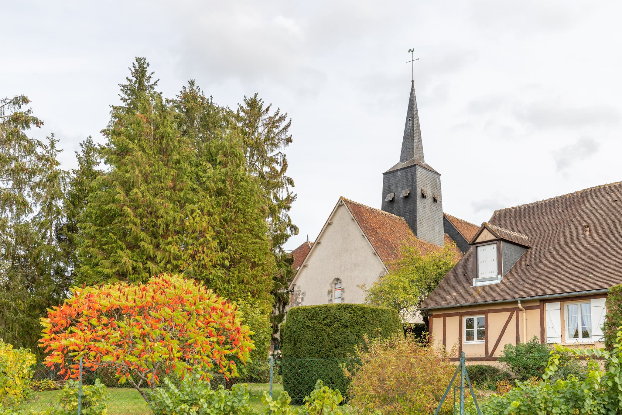 06112019-Boismorand-6