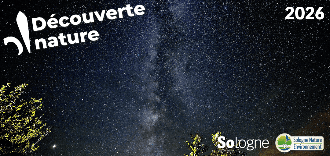 09_nuage_etoile