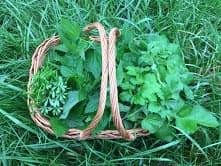 Panier de cueillette