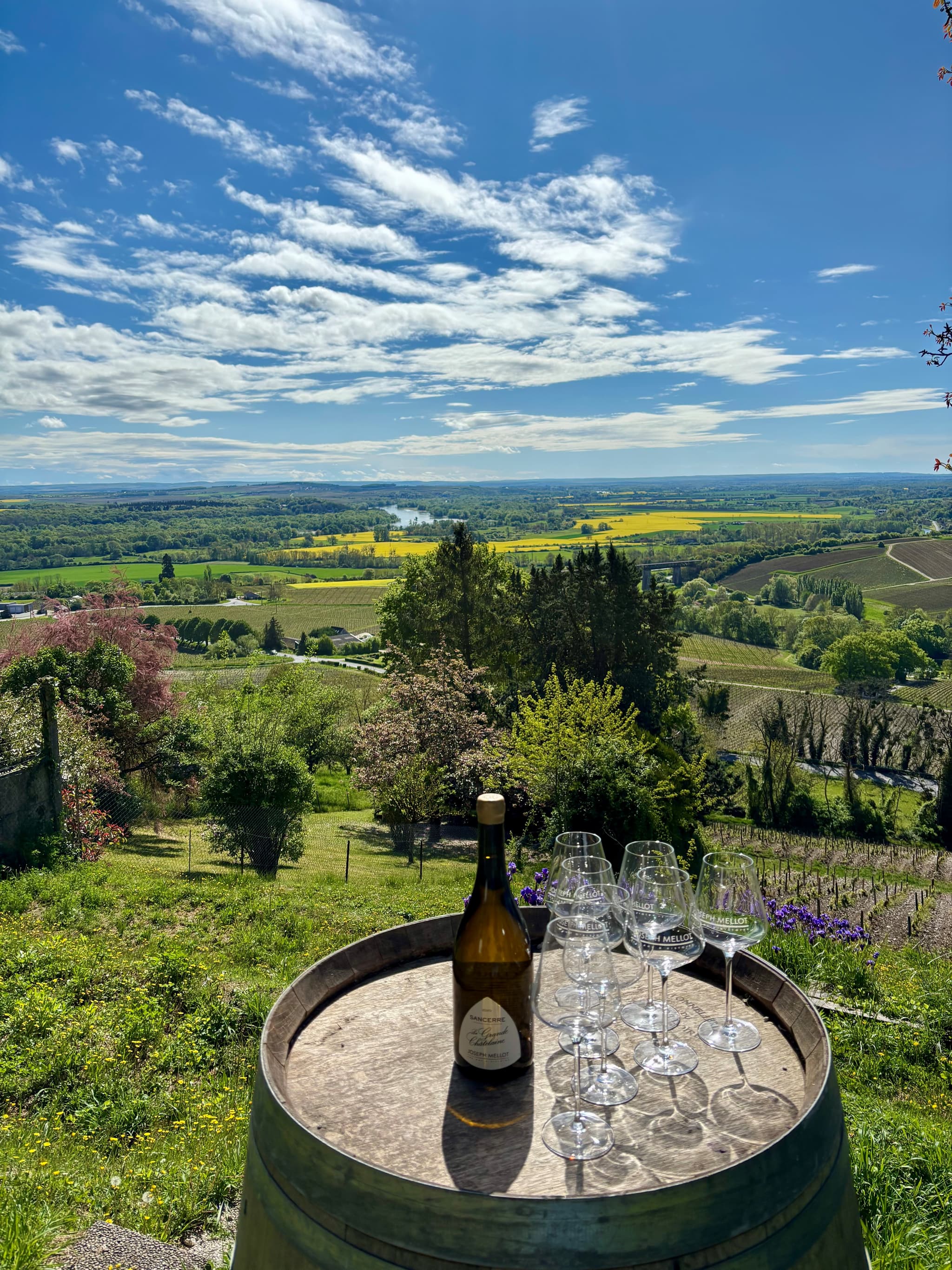 Dégustation au coeur du vignoble