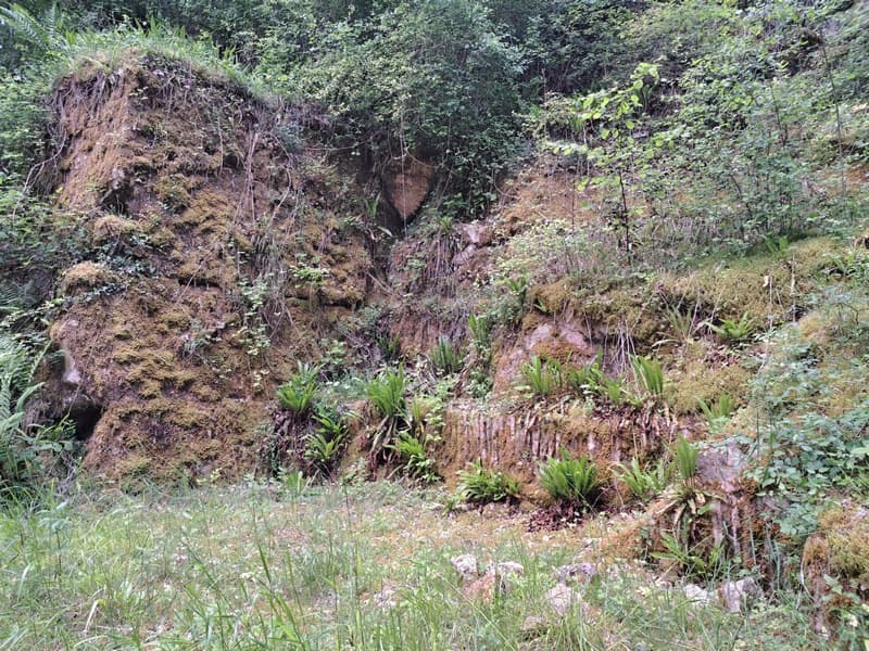 Carrière Chéret