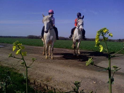 Les Ecuries du grand chemin