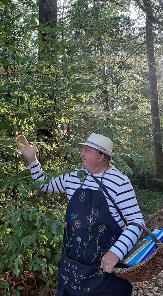 Michel Auvent