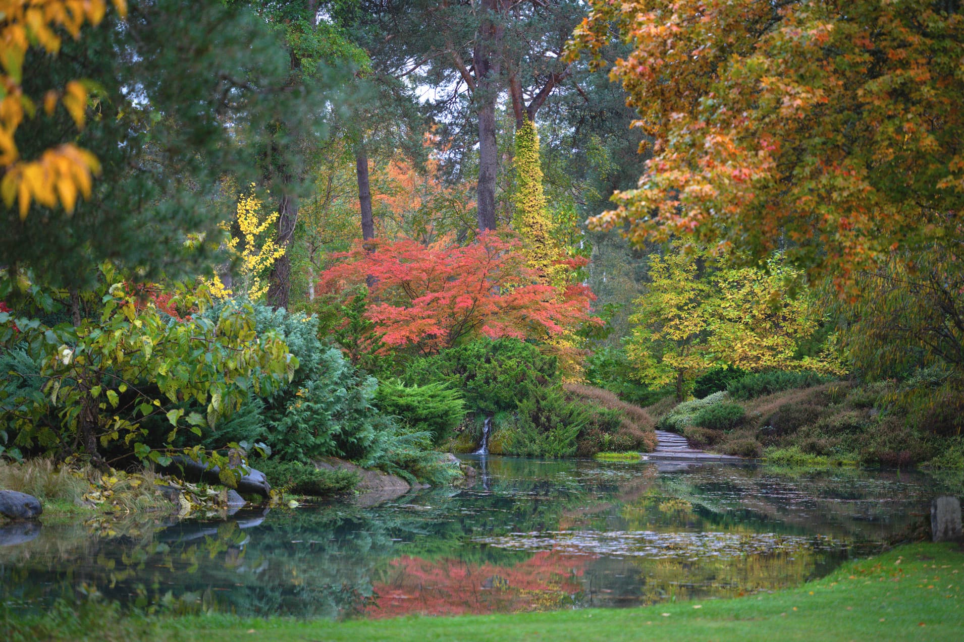 Automne asiatique