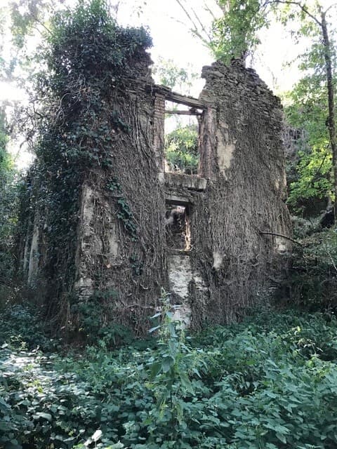 12 - facade Moulin