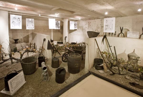 MUSÉE MONCONTOUR -VIGNOBLES FERAY