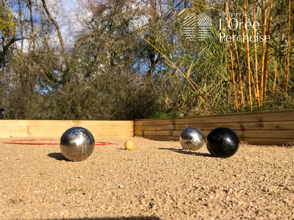 12 petanque