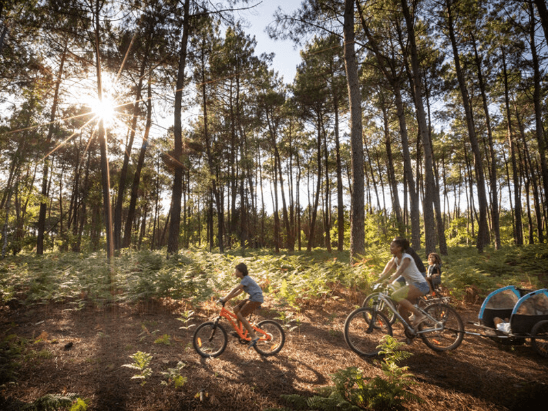 Balades à vélo