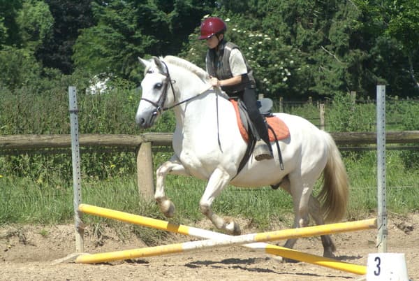 Poney Club Arc-en-Ciel