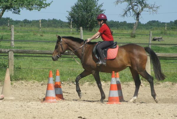 Poney Club Arc-en-Ciel