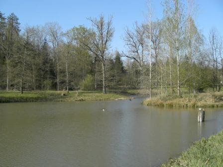 ILE-AUX-CASTORS