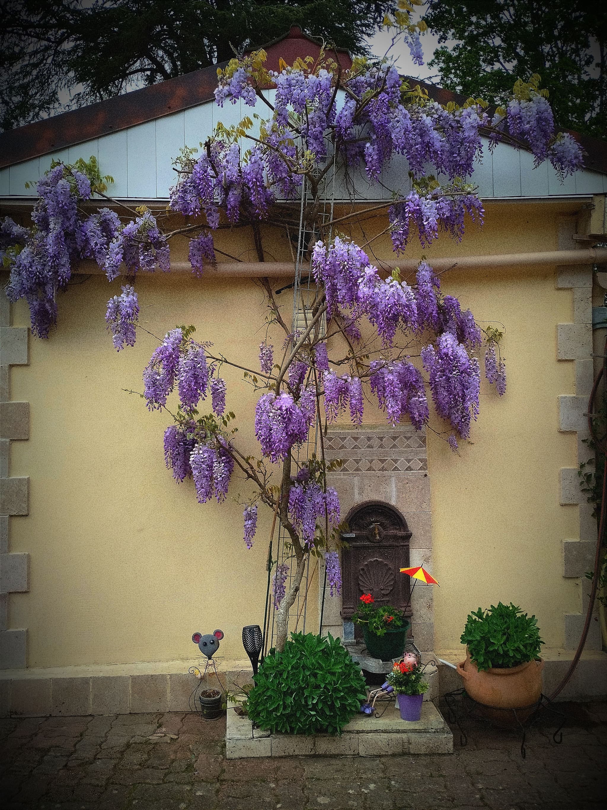 La fontaine du Gîte